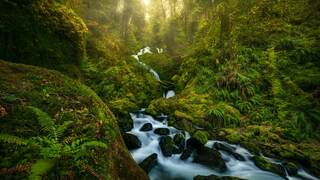 HohWaterfall_ZH-CN0297269806.jpg