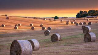 YorkshireHay_ZH-CN9097986997.jpg